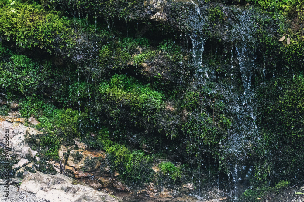 Moss on the stone, small waterfall in the mountains Moss on the stone, small waterfall in the mountains