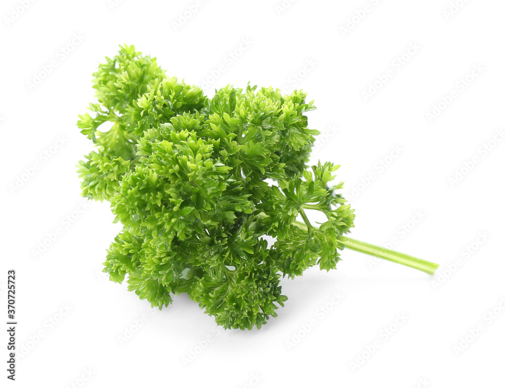 Fresh green curly parsley on white background Fresh green curly parsley on white background