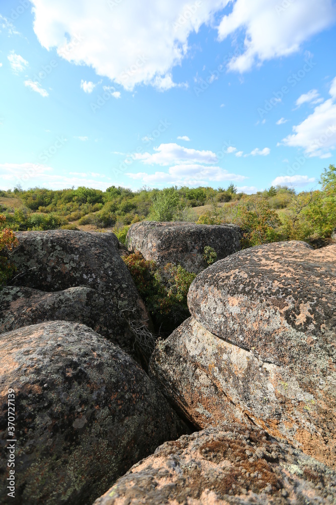 Crack in Arbuzynsky Canyon, Mykolaiv Region, Ukraine Crack in Arbuzynsky Canyon, Mykolaiv Region, Ukraine