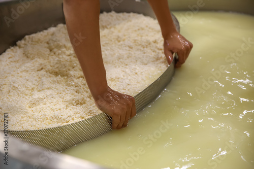 Worker separating curd from whey in tank at cheese factory, closeup photo