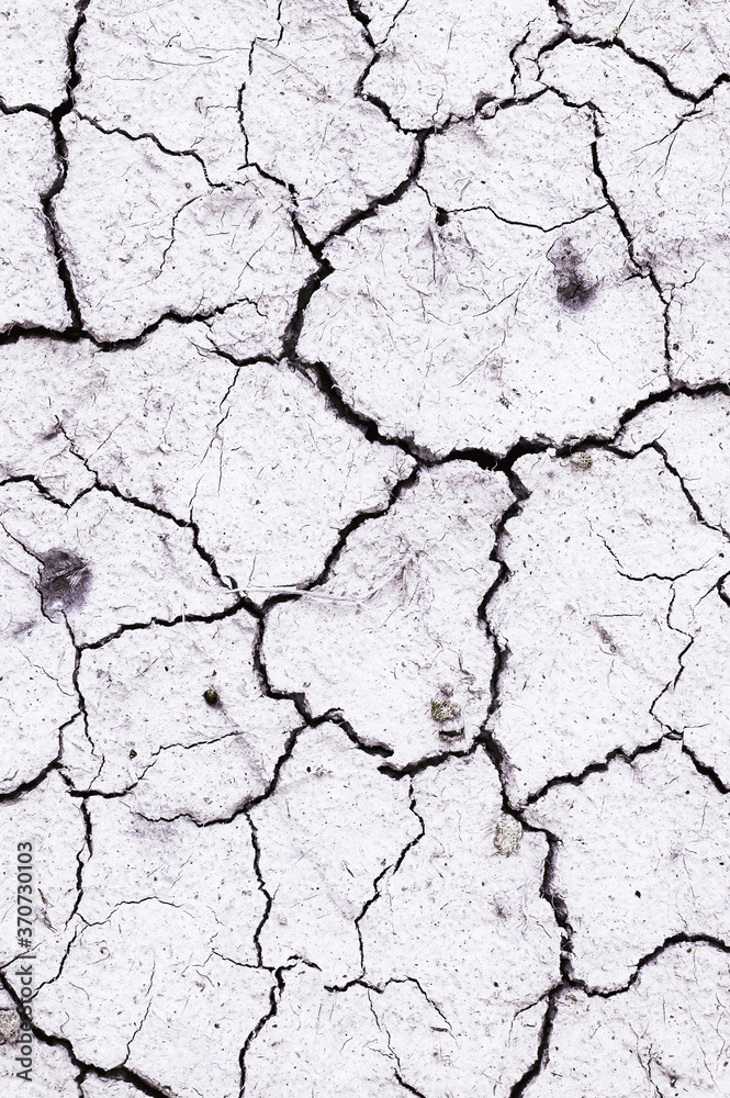 Background and texture of cracked dry earth. View from above. Background and texture of cracked dry earth. View from above.