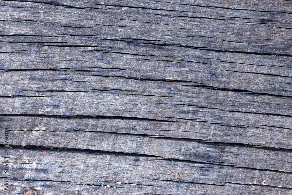 Old dry wooden background. Old natural wooden shabby gray surface texture, with horizontal patterns.