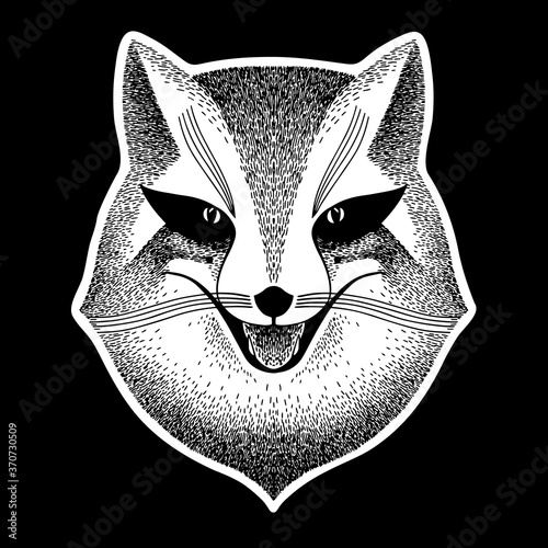 Fox. Stylized portrait of a sly fox on a black background. Sly fox smiles. Black and white sketch. Liar, dodger, mischievous, hoaxer, trickster.