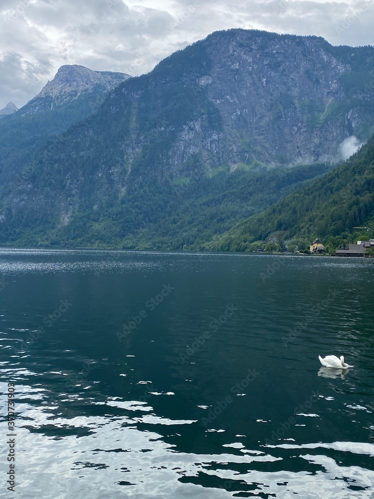 hallstätter see in hallstatt dorf in österreich hallstätter see in hallstatt dorf in österreich