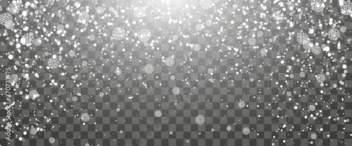 Snowfall and falling snowflakes