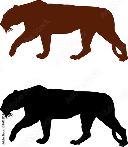 vector silhouette of a tiger