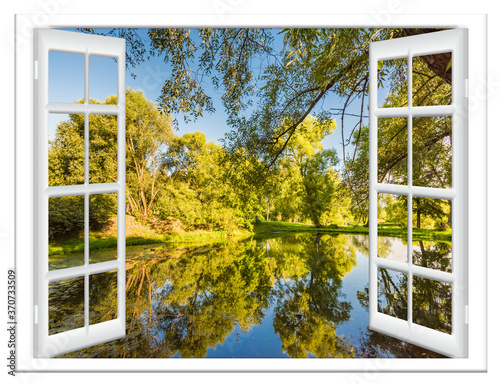 views of the pond