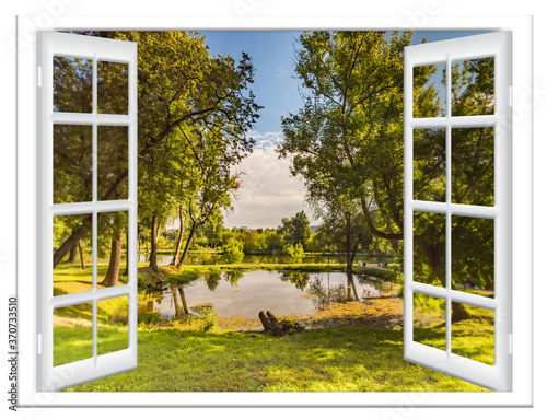 views of the pond