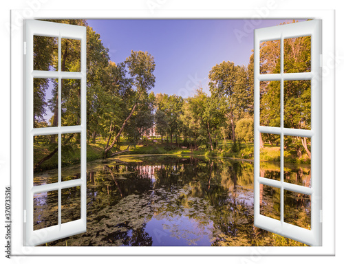 views of the pond