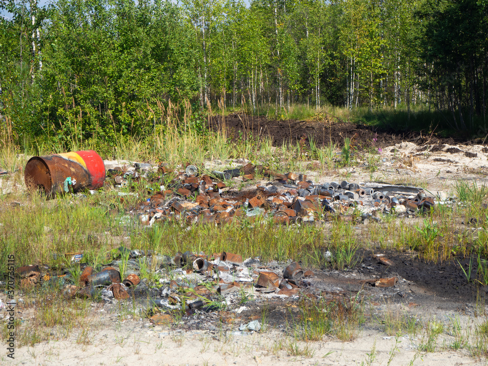 Illegal garbage dump in the forest. Illegal garbage dump in the forest.
