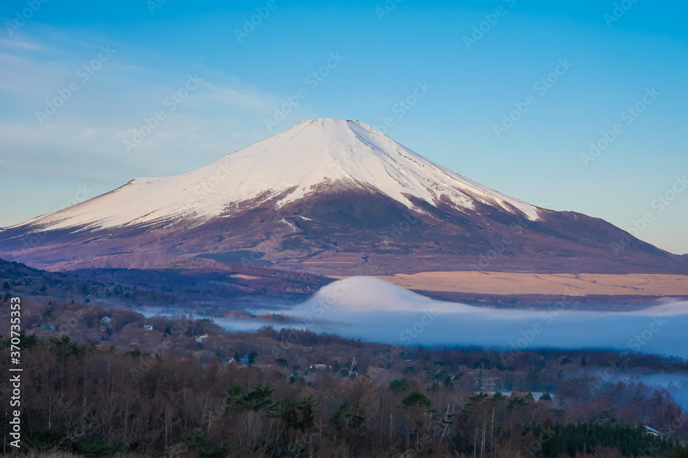 盛り上がった妙な霧を前景に、早春のパノラマ台（山中湖村）から青空を背景にした富士山を望む