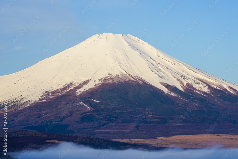 Fototapeta premium 早春のパノラマ台(山中湖村)から青空を背景にした富士山を望む