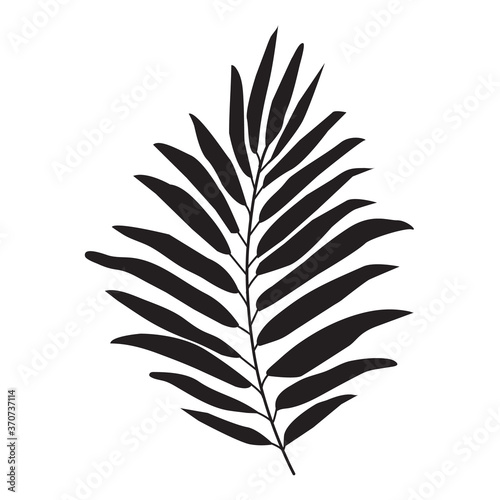 Tropical palm leaf icon. Vector illustration