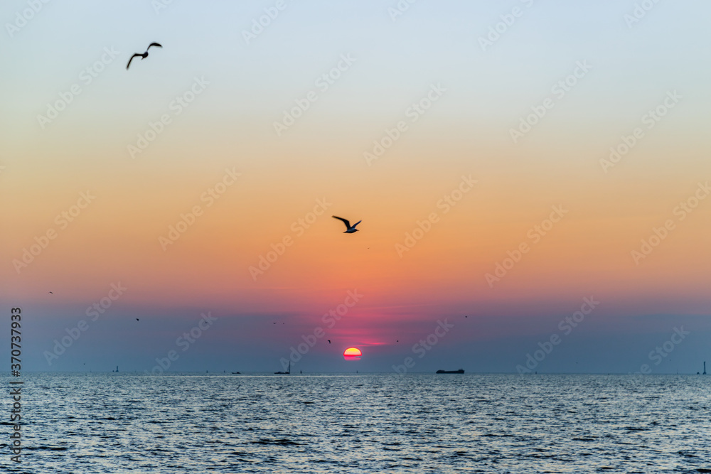 Seagulls flying over the sea on the background of beautiful sunset. Space for text, Selective focus. 