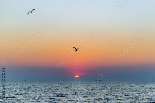 Seagulls flying over the sea on the background of beautiful sunset. Space for text  Selective focus. 