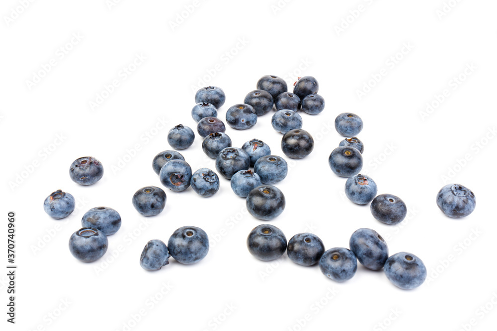 Blueberry isolated. Blueberry on white background. Bilberry. Clipping path.