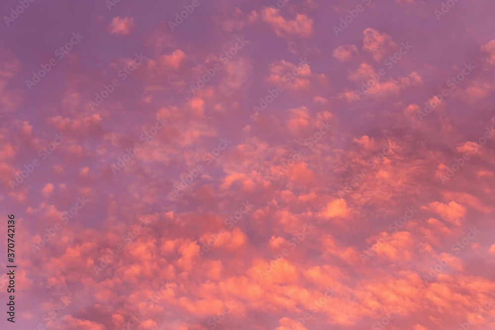 Dramatic soft sunrise, sunset, pink violet orange sky with  bright clouds in sunlight background texture