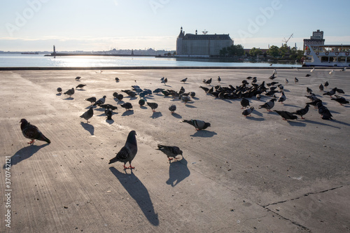 Street views in the curfew from Kadikoy during coronavirus outbreak, Istanbul, Turkey