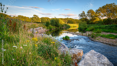Fotografia, Obraz River Wear Wildflower Riverbank, at Bishop Auckland, known as the gateway to Wea
