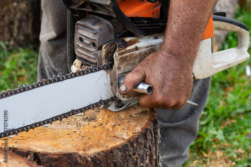 The lumberjack adjusts the chainsaw for work. Close up.