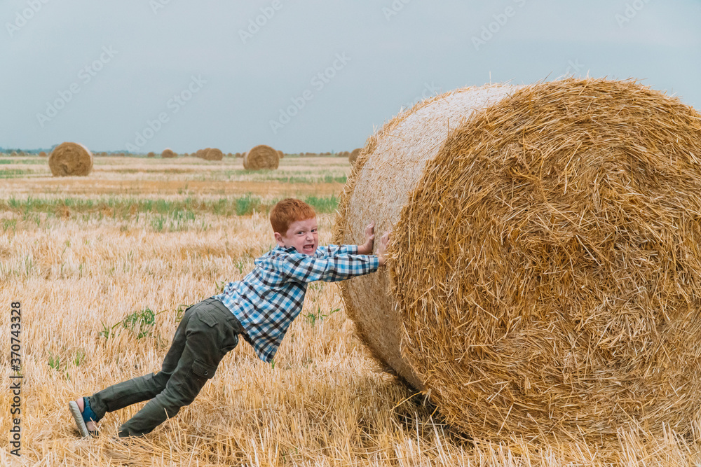 Red-haired boy pushing a bale of straw in the middle of a wheat field with bales on a summer evening Red-haired boy pushing a bale of straw in the middle of a wheat field with bales on a summer evening