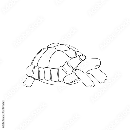 continuous line drawing of turtle tortoise. Single line art concept of aquatic water park. Vector illustration