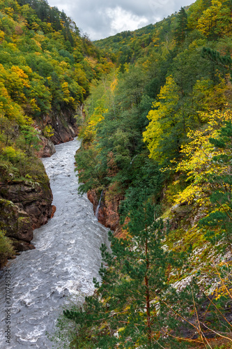 Big hills covered by an autumn forest and a deep narrow rock canyon with a fast mountain river