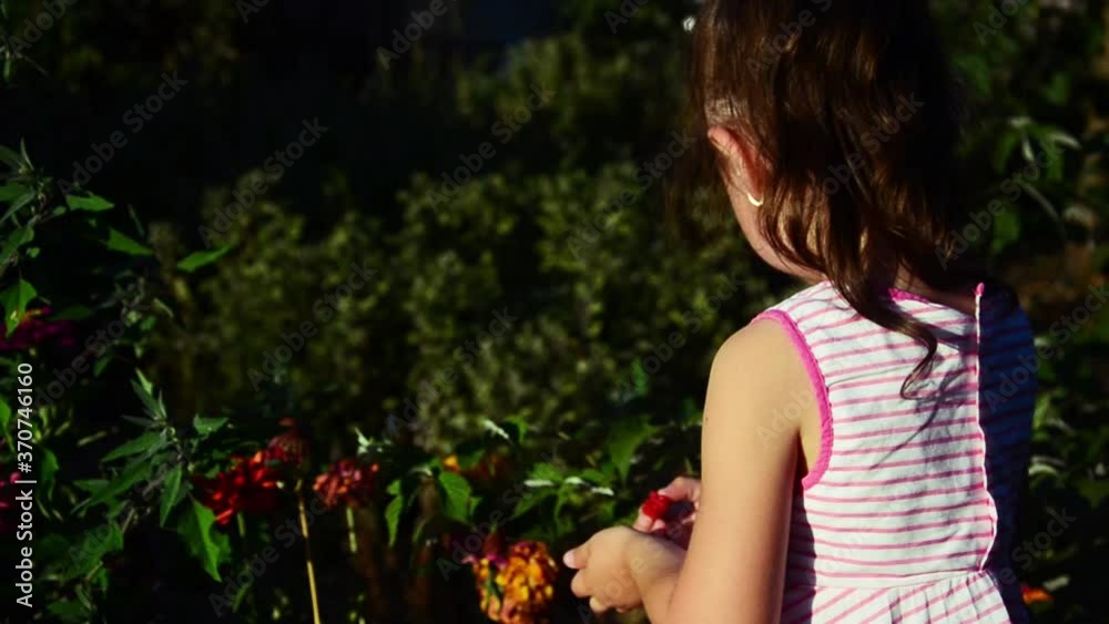 Happy child eats raspberries in summer. Child protection. The kid plays with flowers. The child sniffs fragrant flowers. Happy child eats raspberries in summer. Child protection. The kid plays with flowers. The child sniffs fragrant flowers.