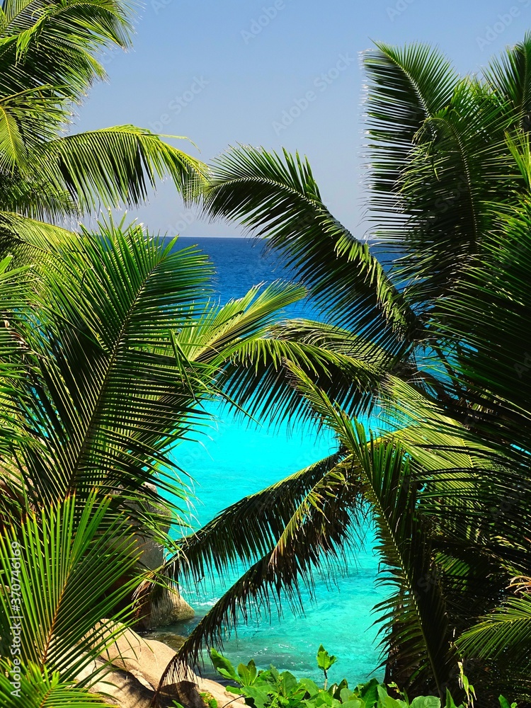 Fototapeta premium Seychelles, La Digue Island, Patates Cove, Patates Beach