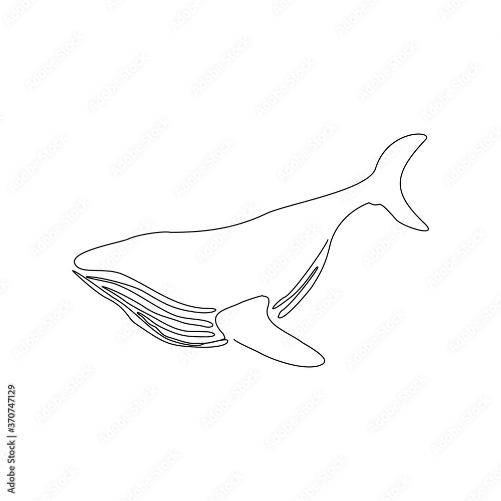 Continuous line drawing of swimming big whale in the sea. One line drawing concept of under water concept. Vector illustration Continuous line drawing of swimming big whale in the sea. One line drawing concept of under water concept. Vector illustration