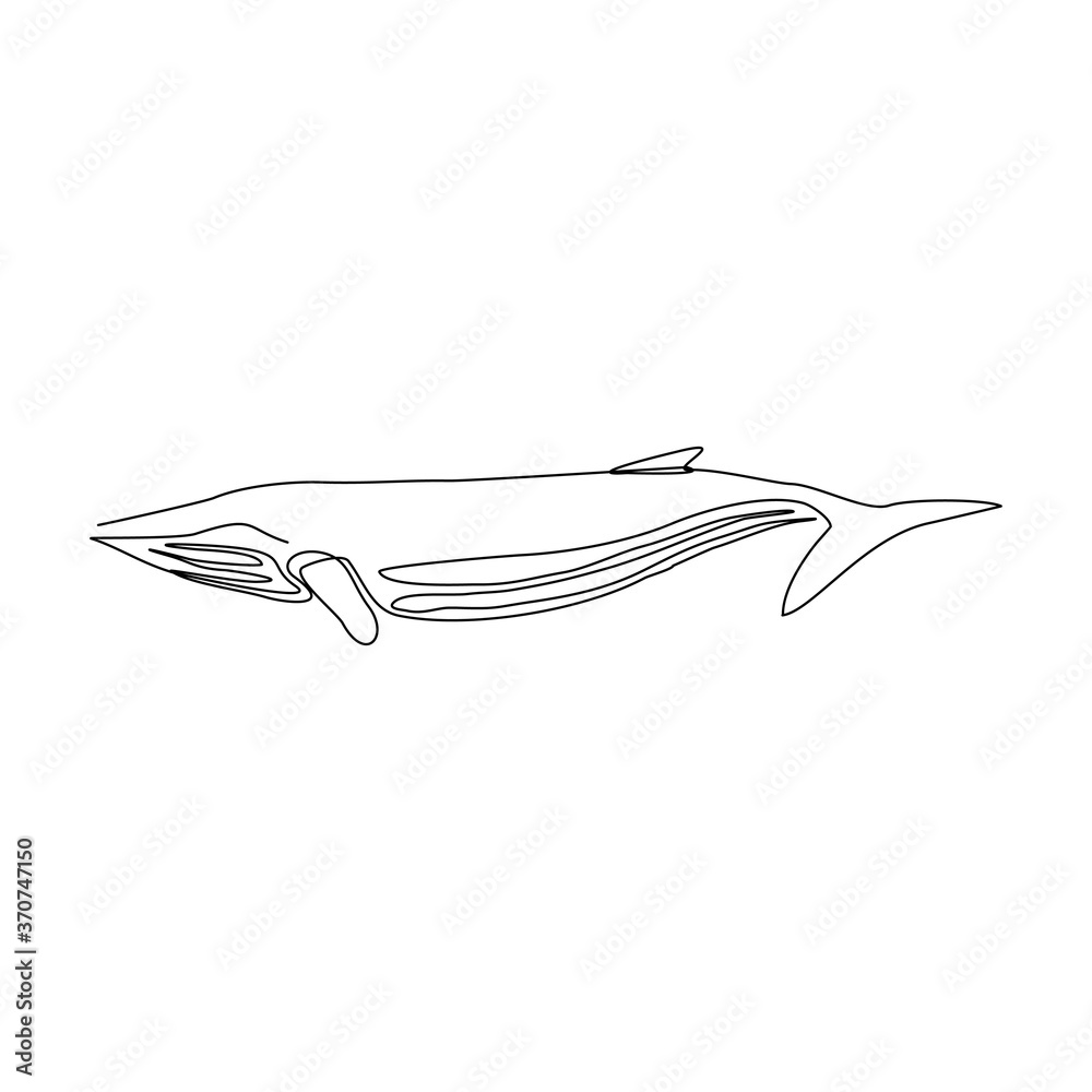 Continuous line drawing of swimming big whale in the sea. One line drawing concept of under water concept. Vector illustration Continuous line drawing of swimming big whale in the sea. One line drawing concept of under water concept. Vector illustration