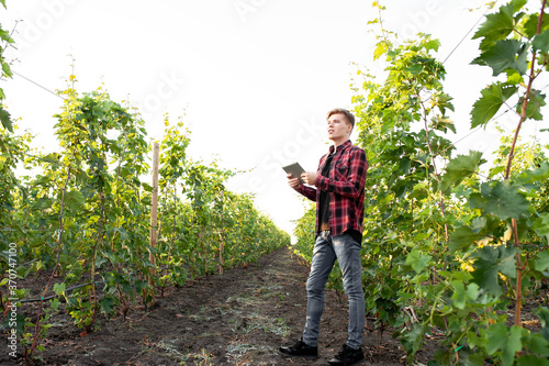 Photo young farmer with tablet on the background of vineyards