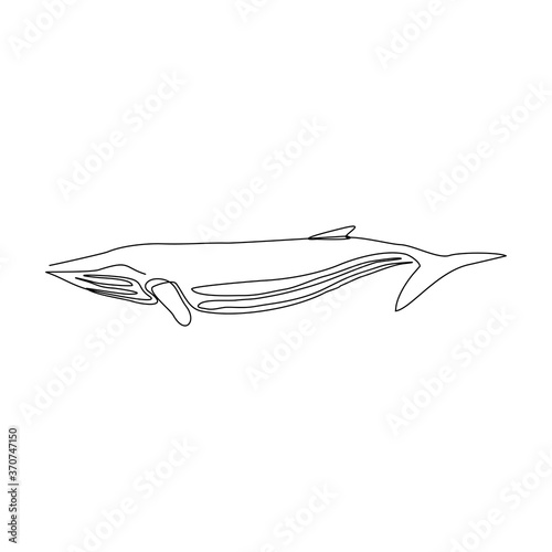 Continuous line drawing of swimming big whale in the sea. One line drawing concept of under water concept. Vector illustration