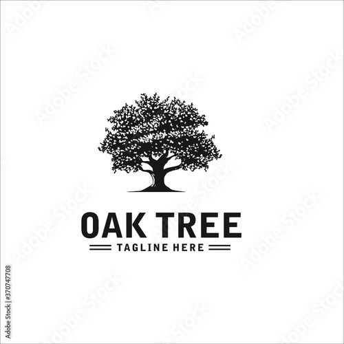 oak tree logo design silhouette vector