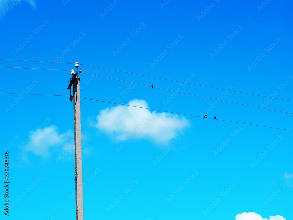 Swallows sit on power lines. Wooden post with wire against a bright blue sky in the village. Swallows sit on power lines. Wooden post with wire against a bright blue sky in the village.
