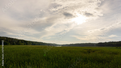 fabulous landscape with green meadow of succulent grass