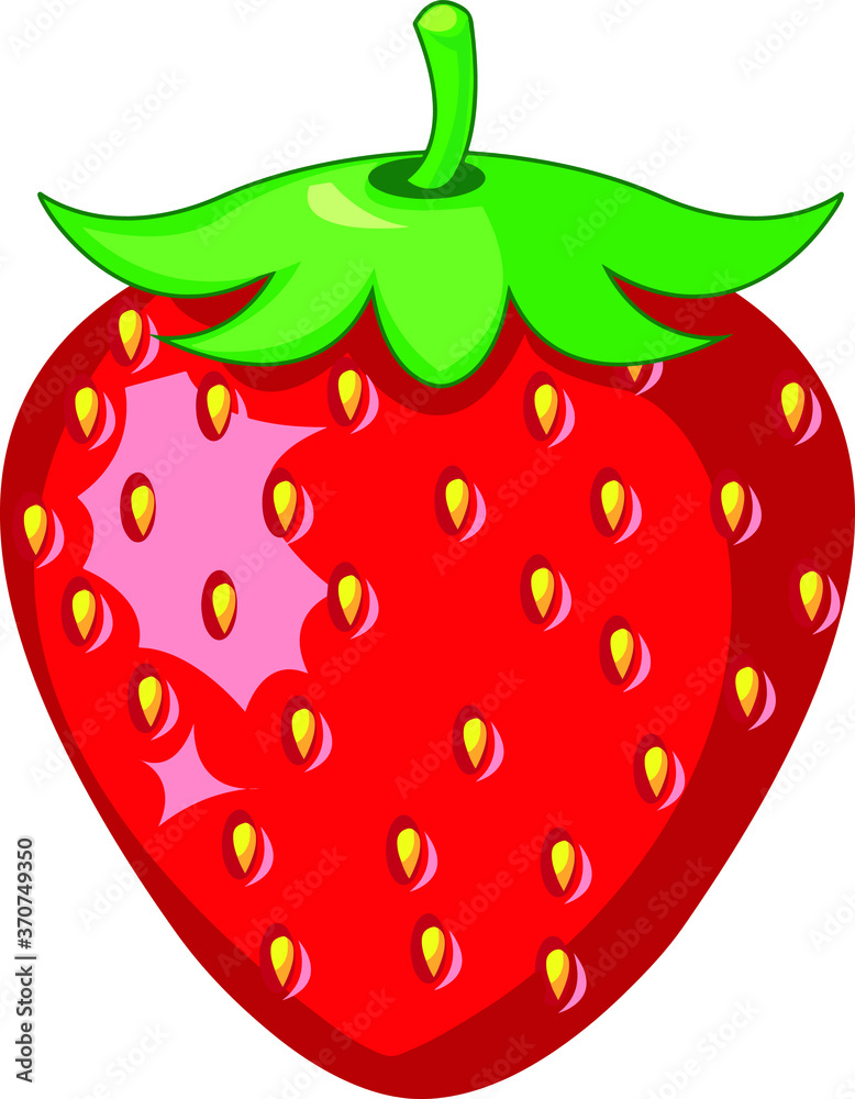 Obraz premium Strawberry vector illustration and