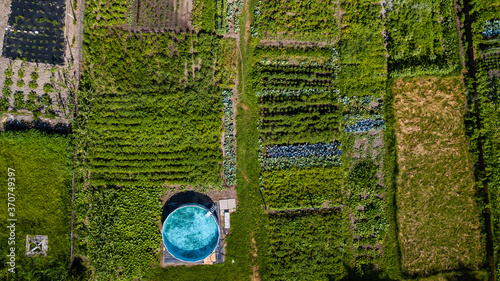 Bild auf Leinwand Top view green field with swimming pool. Photo by Drone