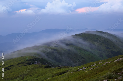 Landscape with high mountains. Amazing foggy summer morning. The early morning mist. A place to relax in the Carpathian Park  Ukraine  Europe. Natural landscape. Free space for text.