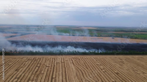 Burning of dry grass and tops from the crop after seasonal harvesting, drone shooting from a height. Fire in agricultural fields in hot weather, smoke is carried around by wind, global disaster