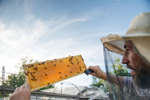 beekeeper holding a honeycomb full of bees closeup photo