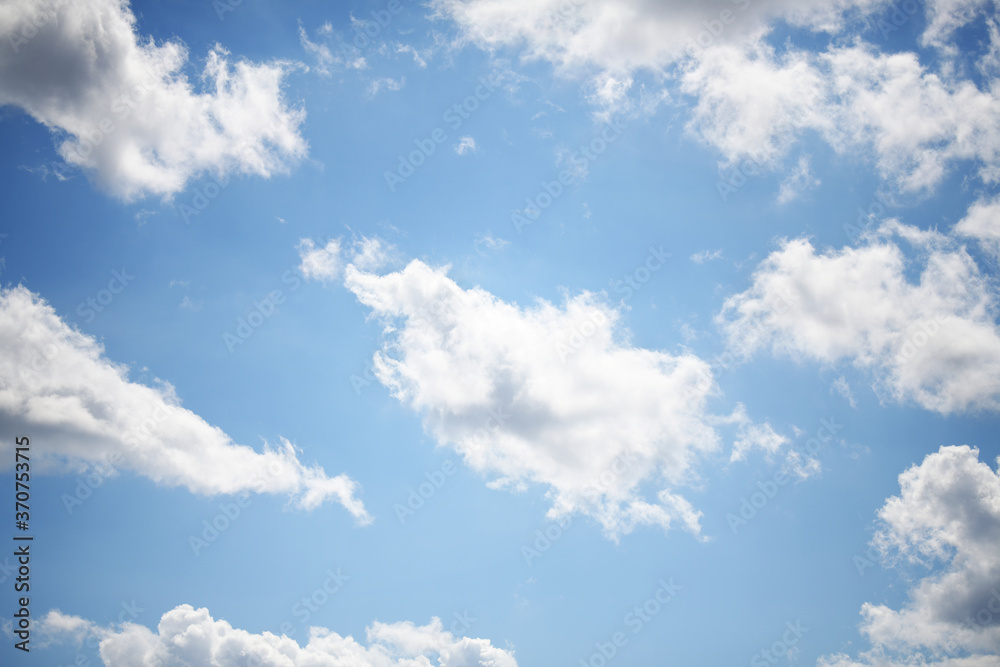 Fototapeta premium Scraps of white cumulus clouds against a piercing blue sky