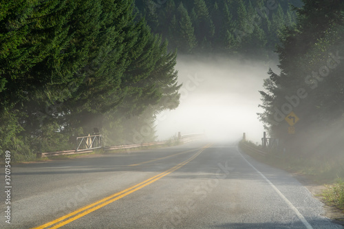 Misty fog isolated abandoned highway in Northern Cascades Pacific Mountain Range National Park Washington, USA