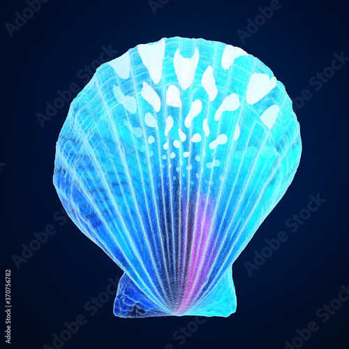 3d rendering of a sea shell