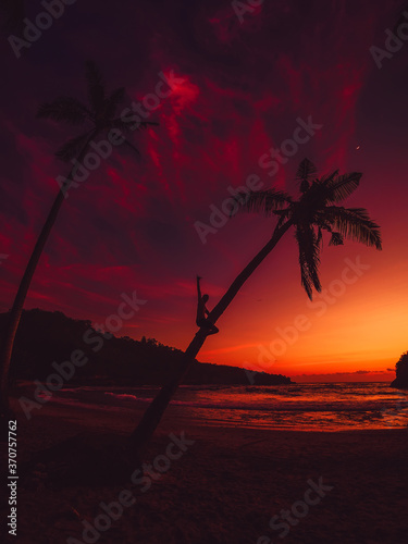 Traveler man sitting on palm and bright sunset at beach with ocean photo