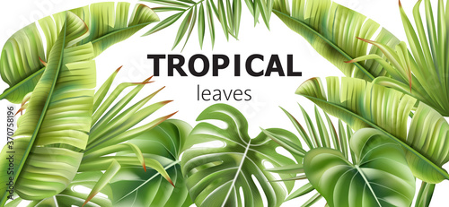 Green tropical leaves banner with place for text. Various flowers