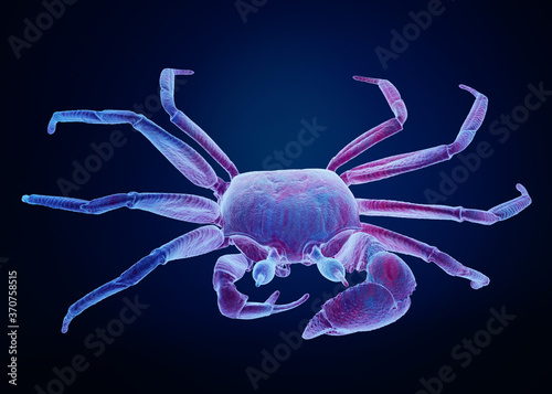 3d rendering of a crab