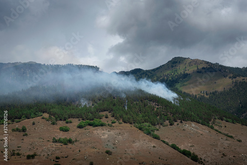 forest fires, smoke from the coniferous forest in the mountains along the road