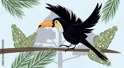 wild toucan animal bird flying in the jungle scene