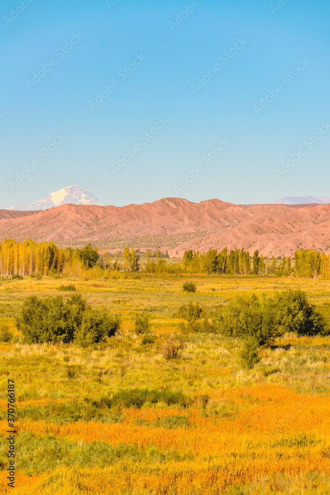 Fototapeta premium Countryside Landscape, San Juan Province, Argentina
